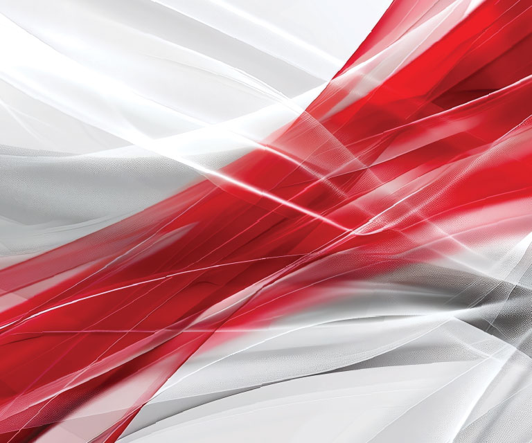 AI for Networks and Networks for AI