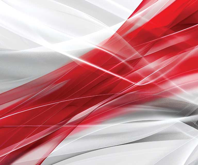 AI for Networks and Networks for AI